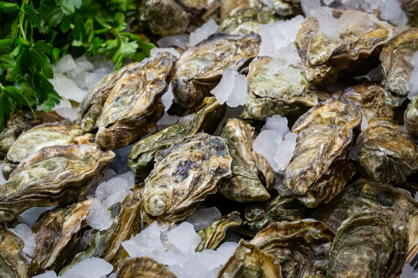 Ostras-do-pacífico (Crassostrea gigas), um dos animais marinhos.
