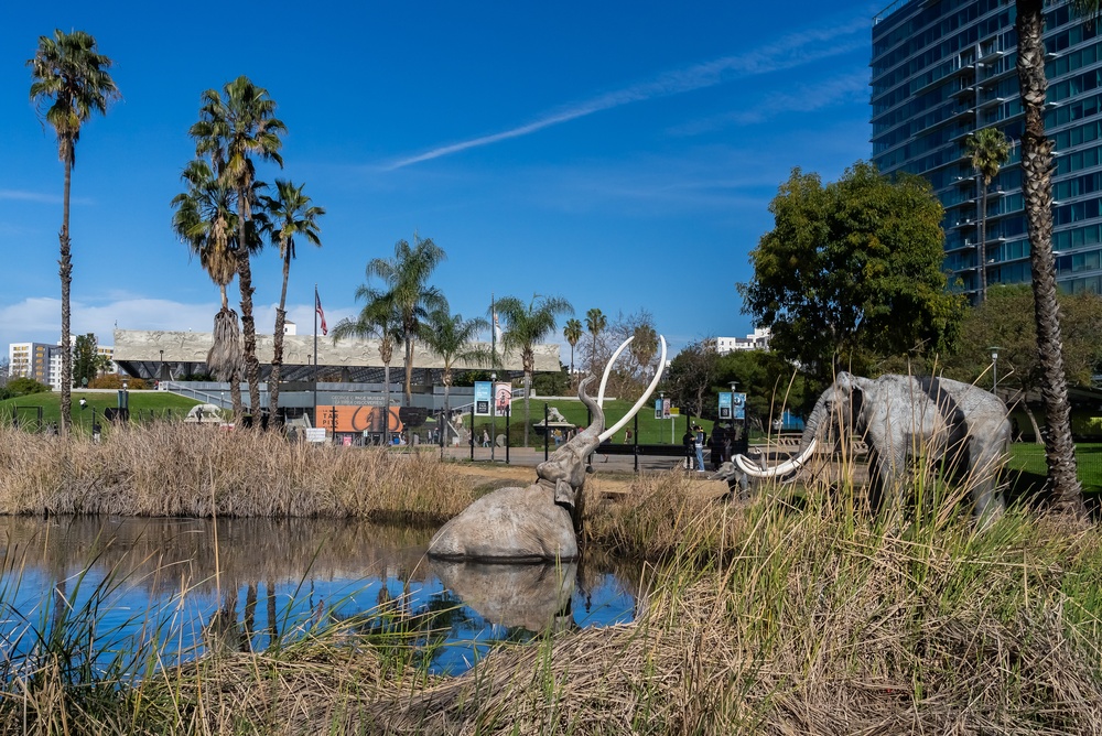 Esculturas de mamutes, animais da última era glacial (ou era do gelo) em um poço de piche em Los Angeles (EUA).