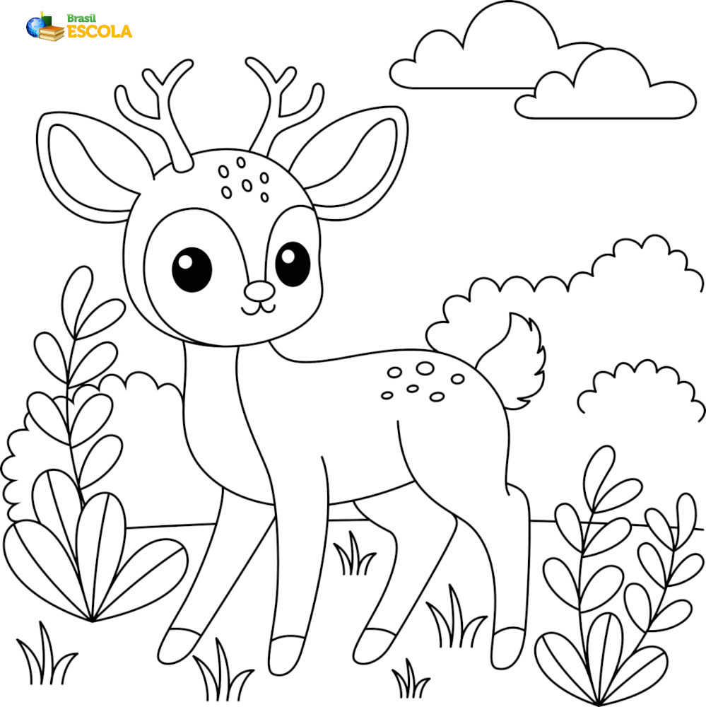 desenho de um filhote de veado para pintar