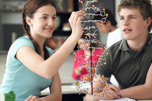 Estudantes brancos com maquete do DNA