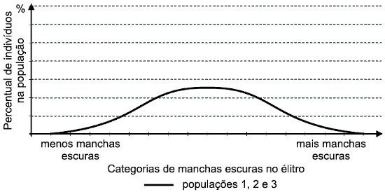 Gráfico com variabilidade fenotípica de populações de besouro leopardo