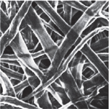 Superfície de uma folha de papel ampliada por um microscópio eletrônico de varredura