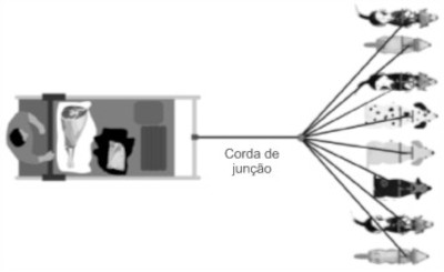 Trenó de neve puxado por oito cachorros.