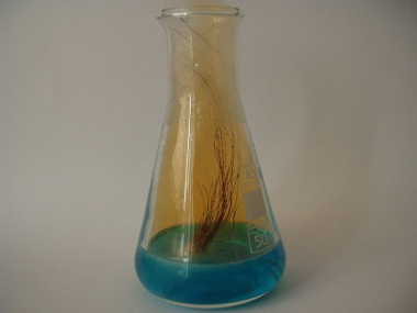 Reação entre cobre e ácido cítrico com formação do gás dióxido de nitrogênio