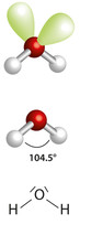 Estrutura da molécula de água