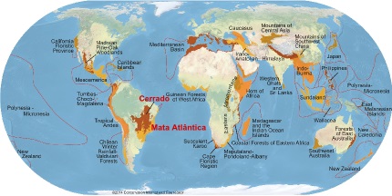 Mapa elaborado pela Conservação Internacional com os hotspots mundiais