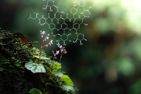 Foto de uma planta pequena e acima uma fórmula para representar a idea do estudo das plantas na Biologia.