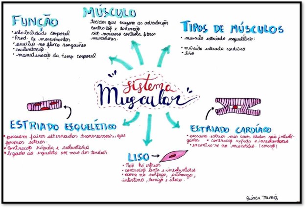 Mapas Mentais sobre REGRA DE SINAIS - Study Maps