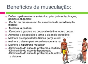 Anatomia da musculação :: Personal Training