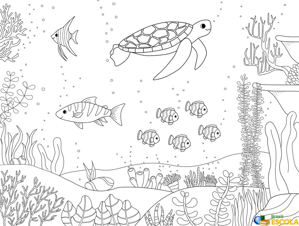 desenho para colorir fundo do mar