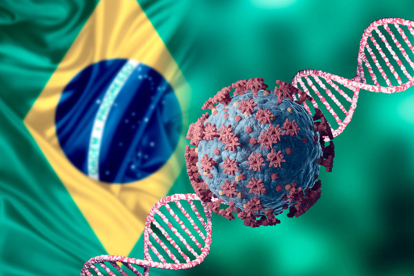Vacinação da Covid-19 no Brasil / Crédito imagem: Jorge Hely Veiga / Shutterstock