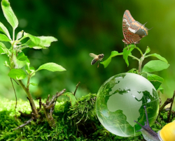 biodiversidade