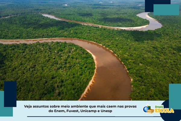 Foto aérea de floresta
